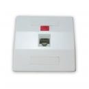 DNCNEP33-002-0 - ESPELHO PLASTICO 3X3 P/ 1 RJ-45 EM ABS BEGE - DN-6000500015 - D-NET
