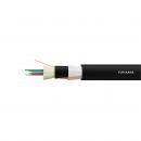 FECOSM2D-009-0 - CABO OPTICO MONOMODO (9/125) G652D ANTI-ROEDOR FIBER-LAN-AR (CFOT-SM-AREO) 02F COG - 28072003 - LIGHTERA